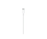 Apple Kabel USB-C - Lightning 2m - 729259 - zdjęcie 2